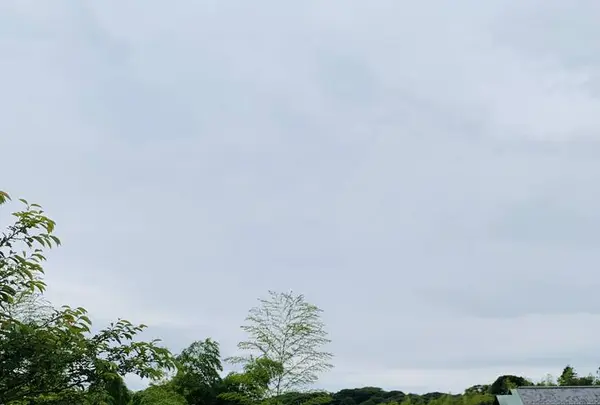 ル・ミリュウ 鎌倉山の写真・動画_image_599590