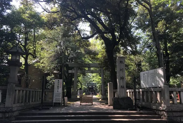 赤坂氷川神社の写真・動画_image_600392