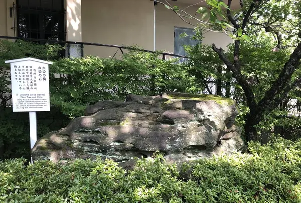 泉岳寺の写真・動画_image_600695