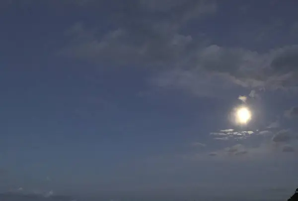 かめやの写真・動画_image_600844