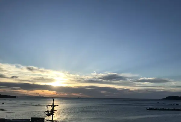 かめやの写真・動画_image_600845