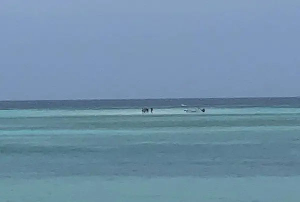 百合ヶ浜の写真・動画_image_600911
