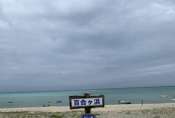 百合ヶ浜の写真・動画_image_600912