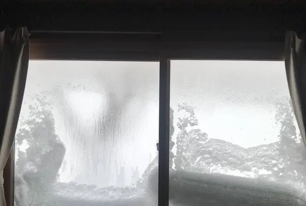 谷地温泉の写真・動画_image_601390