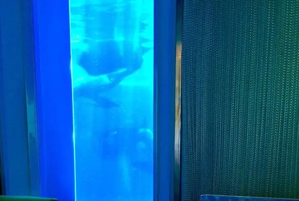 オーシャンの写真・動画_image_601518