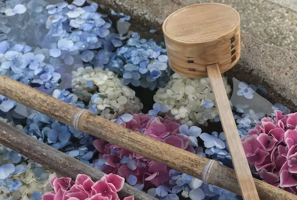 水堂須佐男神社の写真・動画_image_602420