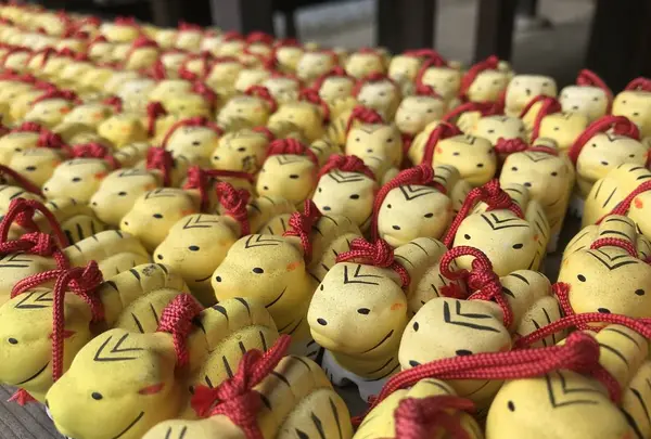 牡丹の寺多聞院の写真・動画_image_605782