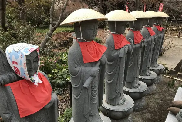 牡丹の寺多聞院の写真・動画_image_605783