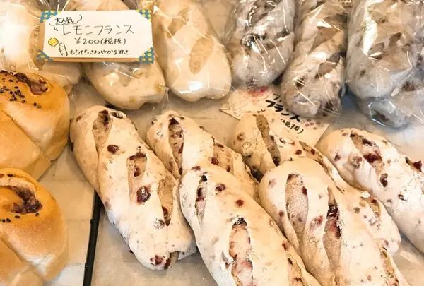 ｋｏｉｇａｋｕｂｏ入間店の写真・動画_image_606187