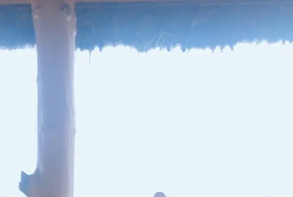 ラコリーナ近江八幡の写真・動画_image_607622