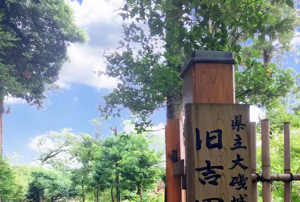 旧吉田茂邸の写真・動画_image_608705