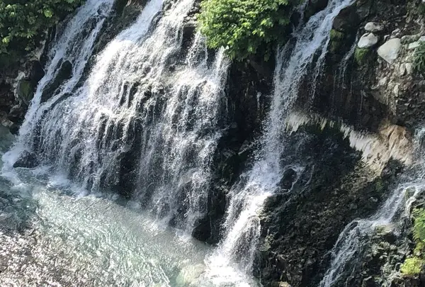 白ひげの滝の写真・動画_image_608809