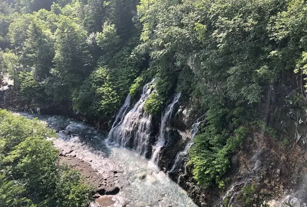 白ひげの滝の写真・動画_image_608810