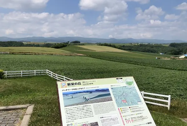 新栄の丘 展望公園の写真・動画_image_608812