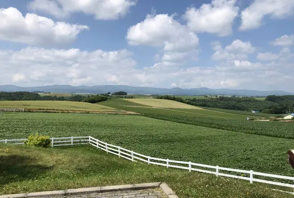 新栄の丘 展望公園の写真・動画_image_608813