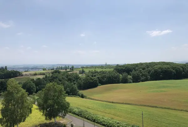 北西の丘 展望公園の写真・動画_image_608827