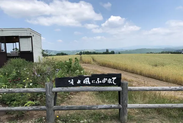 北西の丘 展望公園の写真・動画_image_608830