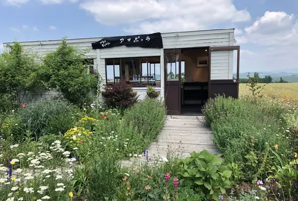 北西の丘 展望公園の写真・動画_image_608832