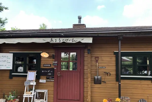 あるうのぱいんの写真・動画_image_608848