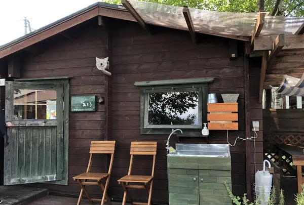 あるうのぱいんの写真・動画_image_608851