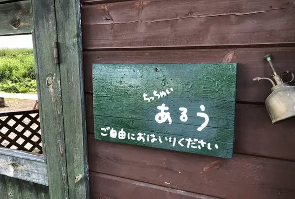 あるうのぱいんの写真・動画_image_608852