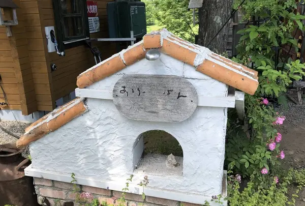 あるうのぱいんの写真・動画_image_608853