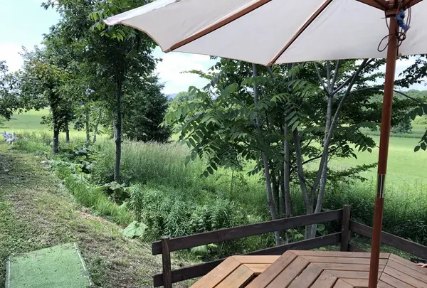 あるうのぱいんの写真・動画_image_608856