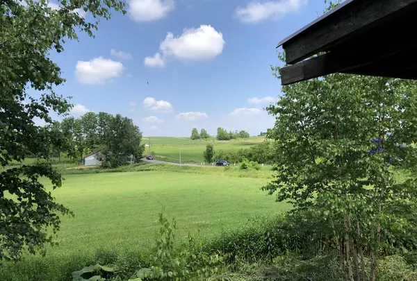 あるうのぱいんの写真・動画_image_608857