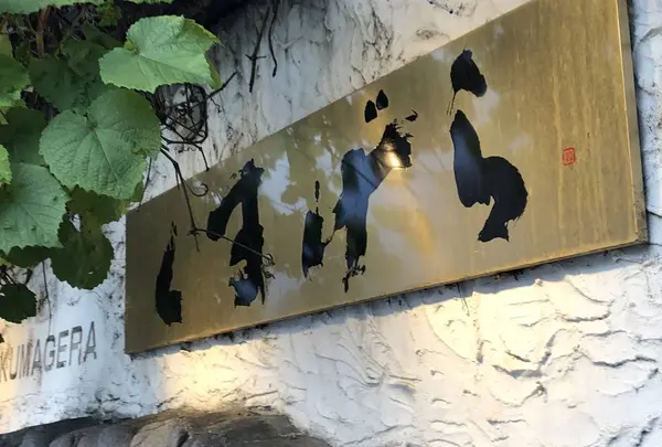 くまげらの写真・動画_image_608877