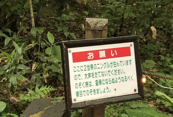 ニングルテラスの写真・動画_image_608887