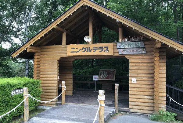 ニングルテラスの写真・動画_image_608888