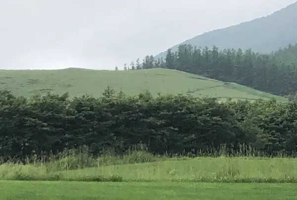 十勝千年の森の写真・動画_image_608905