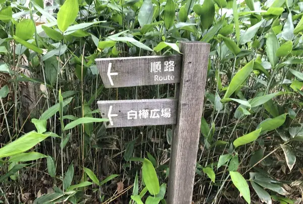 十勝千年の森の写真・動画_image_608910