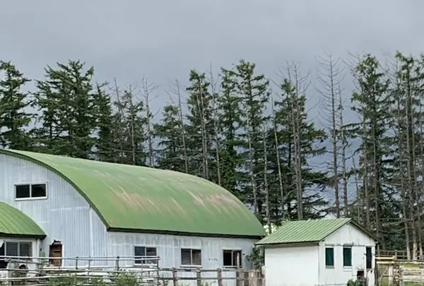 北海道箱根牧場の写真・動画_image_609256