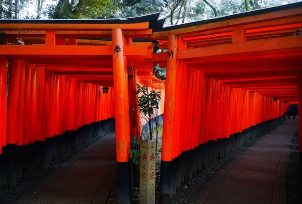 伏見稲荷大社の写真・動画_image_610566