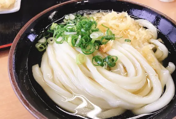 本格手打うどん はゆかの写真・動画_image_611305