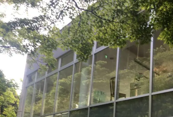 茶房わらび野の写真・動画_image_611817