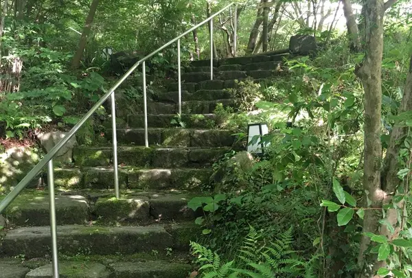 茶房わらび野の写真・動画_image_611818