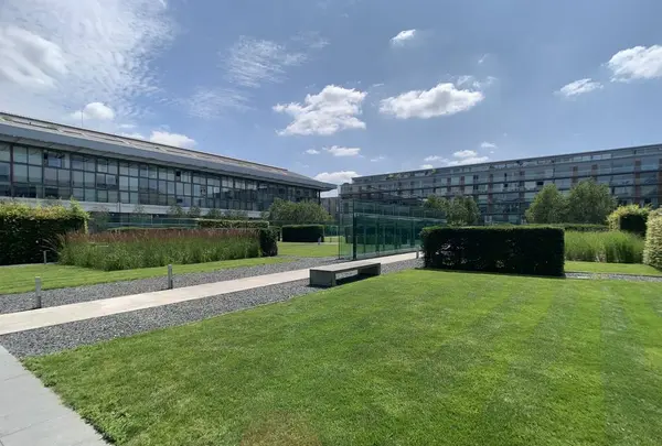 スタジアム・ミューズの写真・動画_image_611942