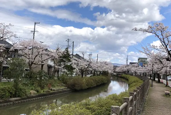 氷見市の写真・動画_image_612810