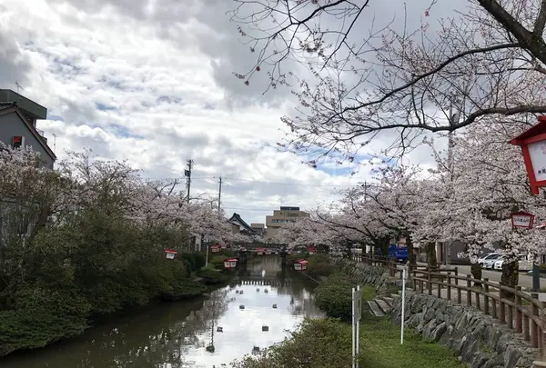 氷見市の写真・動画_image_612811