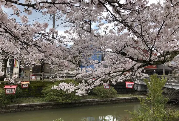 氷見市の写真・動画_image_612812