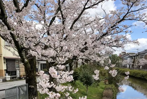 氷見市の写真・動画_image_612813