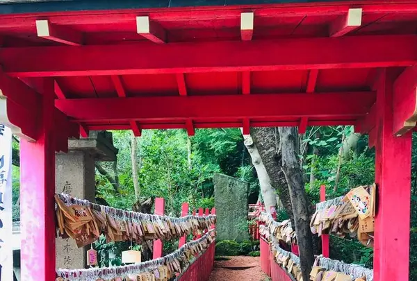 石浦神社の写真・動画_image_613009