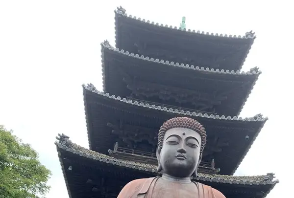 興正寺（尾張高野）の写真・動画_image_613722
