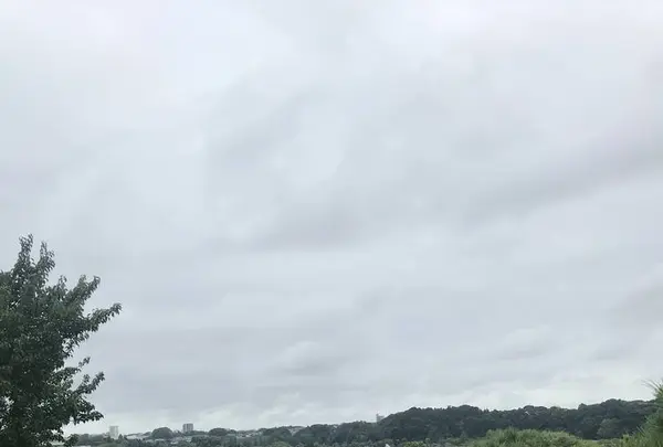 偕楽園の写真・動画_image_614535