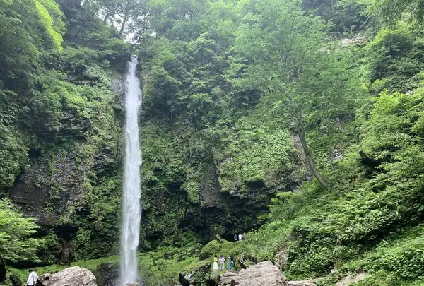阿弥陀ケ滝の写真・動画_image_621507