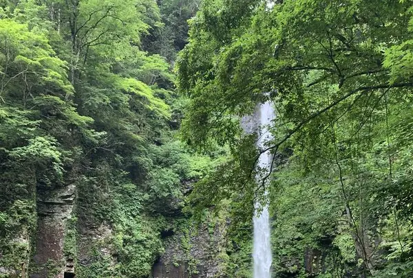阿弥陀ケ滝の写真・動画_image_621508