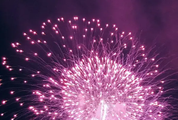 長岡まつり大花火大会の写真・動画_image_622453