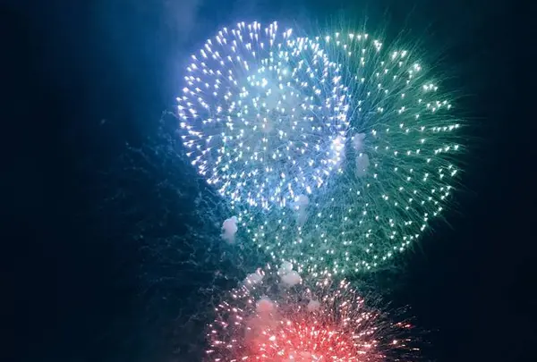 長岡まつり大花火大会の写真・動画_image_622454